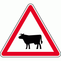 A15a1 - Passage d'animaux domestiques